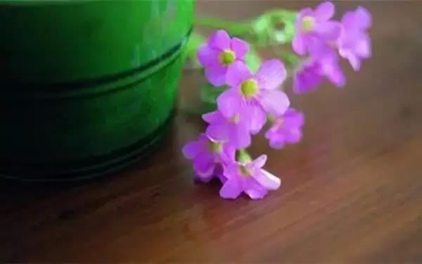 给小孩取名有什么讲究嘛