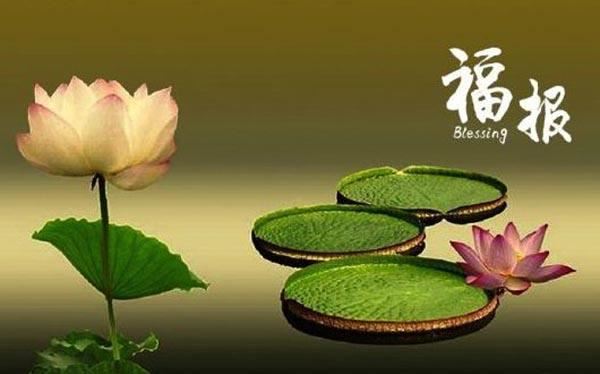 草字头的字男孩起名字属兔小名