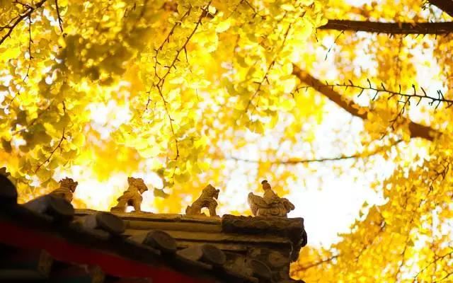 如何在清明节之际去寺院为逝去的亲人超度