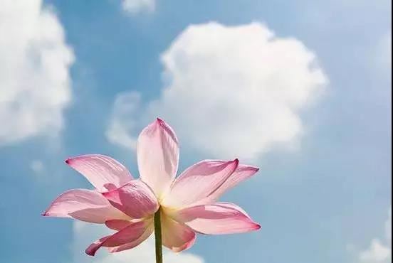 怎样防止身边出现烂桃花？会遇到花心的异性？