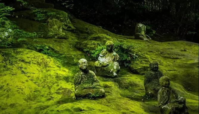 十二星座座的主管星12星座主管星