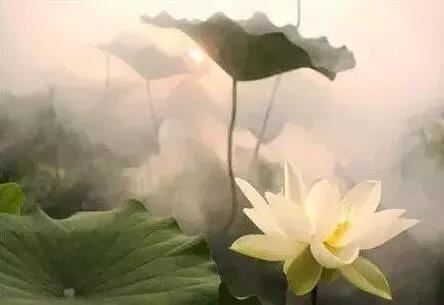 7天挽回 我靠的是情感专家道长的和合法事