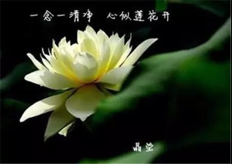 拿钱养男人的星座女女人拿钱养男人