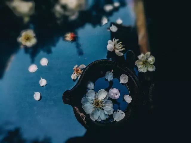 女人梦见好多小蛇代表啥，女人梦见小蛇是什么预兆？