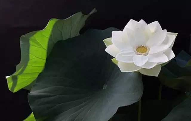 最灵的四句桃花咒女人毁掉家庭的4种表现