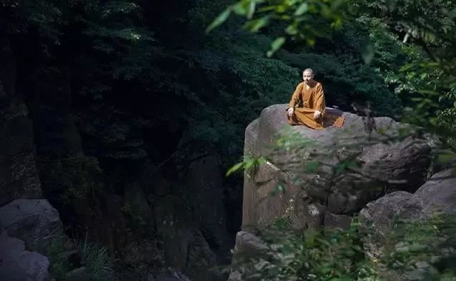 属羊的人最怕什么生肖？属羊人遇上属鼠和属蛇人的年份会如何