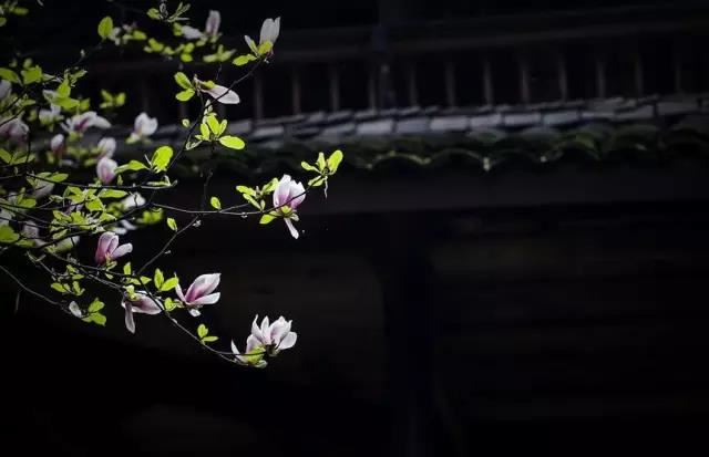 易经手指起卦掐指一算，妙趣横生的幽默！