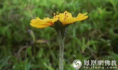 有了第三者的婚姻还能要吗 我们应该如何抉择