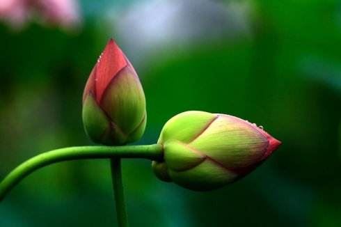 高情商的发言技巧，教你怎么说话和做人