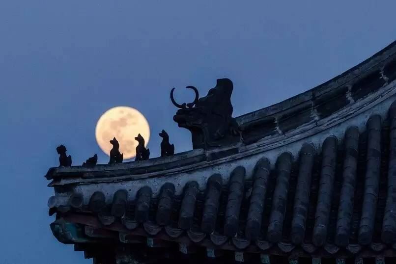 女性属羊男性属猴的婚姻
