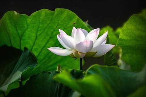 如何还清阴债,避免陷入债务泥沼