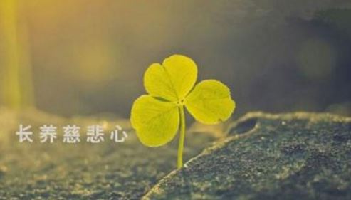 给宝宝取名字需要注意什么
