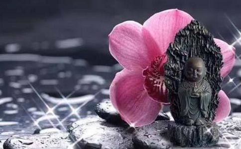 二星座代表的卡通图片十二星座的卡通图片大全的简单介绍