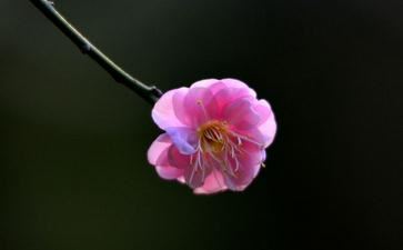 阳宅风水怎么破解？五种破解方法让你的居宅能量UP！