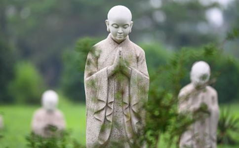 87年属兔今年有桃花运吗