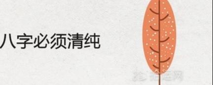 八字中的清、浊、精、气、神、是什么意思？