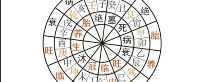 十二长生所在四柱八字对应的意义？