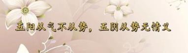 阳干从气不从势，阴干从势无情义什么意思？