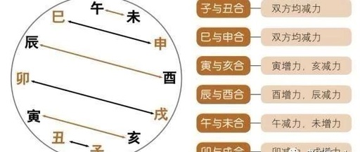 地支合冲刑害作用大小分析