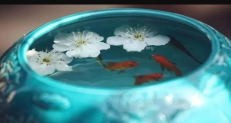 长生禄刃通根力量大小分析？印和根的区别？
