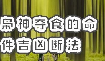最为固执的命格—枭神夺食的命格