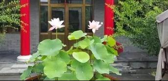 八字看何时有孩子，生男还是生女？