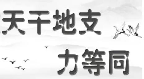 天干和地支的力量哪个强?一个地支相当于几个天干