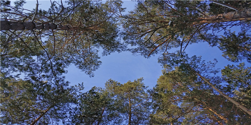 长兴附近好玩的景点