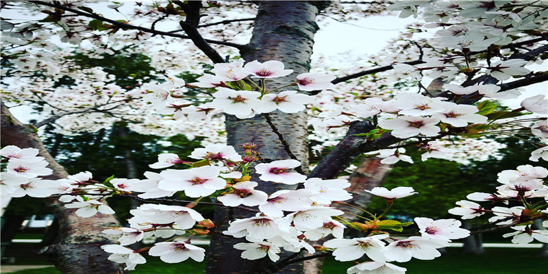 金木水火土诗词