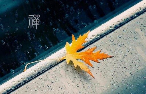 为什么八字合的也会分手