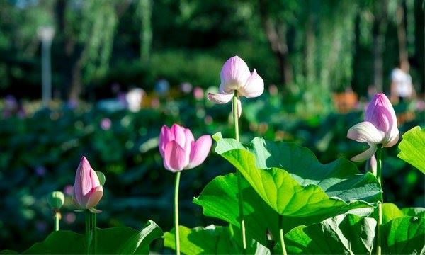 婚姻破解用降低矛盾的办法可以挽回