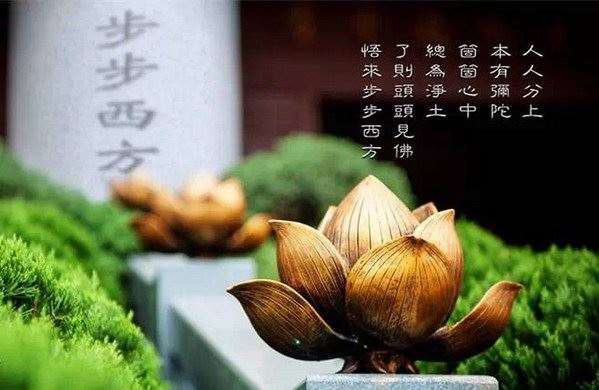 童子命的明星都有哪些