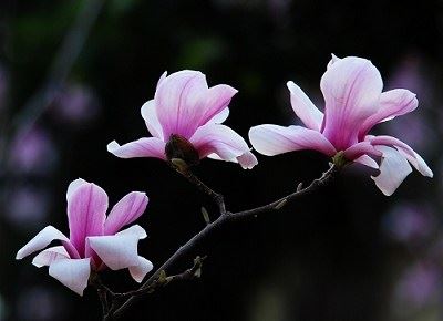 阴债是什么意思怎么还？什么样的人需要还阴债？